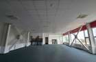 HALA depozitare, showroom cu utilitati – Drumul Garii Otopeni - 5