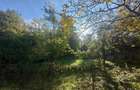 Teren Intravilan 5.653 mp| zona Cugir - 1