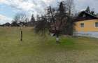 Teren intravilan, Bran, 1020 MP, acces din E574 - 5