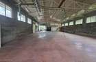Hala de productie 540mp de închiriat în Borsa pe DN 18 spre Complex - 10