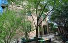 Vila 8 camere | padurea Baneasa | teren 383 mp - 20