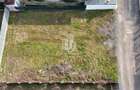 Teren Intravilan 564 mp Vama Veche- deschidere 19 ml - 4