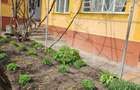 Casa de vanzare, teren 2377mp, Ceanu Mic, judetul Cluj - 4