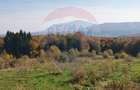 Teren ideal pentru glamping în Vlădeni, aproape de Brașov - 3