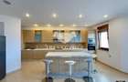 Penthouse 6 camere Herastrau|  Terasa | 2 Locuri Parcare - 11