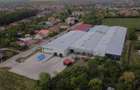 Hală producție/ depozitare de inchiriat Buziaș, Timiș - 2