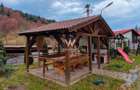Cabana / Casa de vacanta pe Transfagarasan - Sibiu - 3