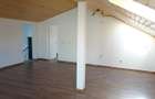 Inchiriez apartament in Vila in Deva, zona ultracentrala, curte comuna - 10