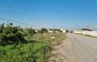 Teren 10.000 mp Clinceni – Deschidere la drum principal | Zonă mixtă - 2