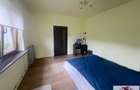 Vanzare casa in Ighiu 890 mp teren - 5