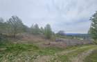 Teren intravilan, priveliste panoramica, Miroslava-Ciurbesti - 5