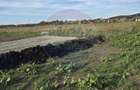 Teren Sanpetru, str Armoniei, 539mp, cu proiect casa si avize in lucru - 28