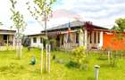 DE VANZARE Casa 3 camere/ teren 550 mp Cosoba / Giurgiu - 49