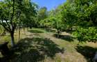 Teren intravilan 4,516mp Doina - 22