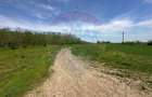 Teren 138.104 mp Dragomiresti-Vale, Ilfov, langa A0 - 2