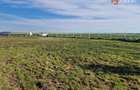 Teren extravilan de 3500 mp de vanzare in Remetea Mare - 6