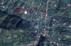 10.51 Euro + TVA / mp: Teren Bran Predelut, 24.253 mp, intravilan - 21