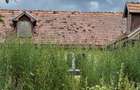 Casa 4 camere Ungheni - 4