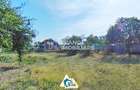 Casă spațioasă cu 4 camere de vânzare – Comuna Aluniș, județul Arad - 32
