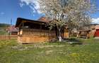 Casă de vânzare recent renovata - 7