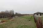 Teren 5000 mp,  Lelești - 2