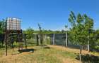 Teren cu livada perfect pentru CASA - 1.200 MP Sat Varlaam, Giurgiu - 4