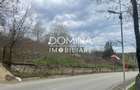 Vanzare teren intravilan - Runcu - oportunitate intr-o zona turistica deosebita - 5