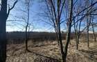 Teren Intravilan 60.000mp - 1