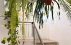 Apartament generos 3 camere, 2 bai, 75mp utili, balcon, mobilat/utilat, Gospodar - 15