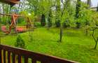 Casă de vancata lângă râu- Provița de Jos - 12