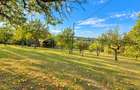 Cabana 80 mp| teren 3.400 mp| zona Cugir - 6