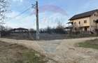 Vanzare Teren Izvorani / Strada Gradinarilor/Complex Olimpic - 10