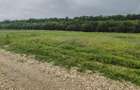 Teren intravilan - 860 mp - Deschidere 20 mp - Ciocani - Crevedia - 1