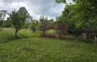 Vila de vanzare cu 6 camere si teren de 5116 mp in Cornu, Prahova - 41