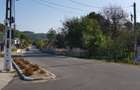 Casă cu 1,6 Hectare de Teren lângă Mănăstirea Govora - 6