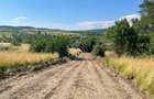 Parcele de 1000 mp-panoramic-ideal investitie-Sigmir - 2