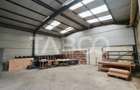 Hala cu suprafata de 2000 mp si birouri de inchiriat in Lancram Alba - 11