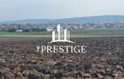 TEREN DE VÂNZARE ȘURA MICĂ 10.000 MP | 2 FRONTURI STRADALE, INVESTIȚIE - 11