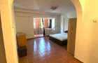 Apartament 1 camera decomandat Gara/ Bila - 7