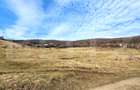 Teren intravilan 4100 mp în Florești | Parcelabil | Zonă de pădure - 1