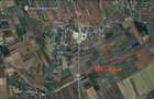 Teren 500 h plus 1000h arenda Vrancea - 9