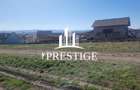 TEREN INTRAVILAN PENTRU CONSTRUCȚIE CASĂ | ȘURA MICĂ | PUZ APROBAT - 6