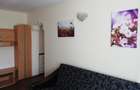 Apartament 3 camere Podu Ros - 5