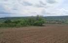 RECO Teren intravilan Hidiselul de Jos langa padure - 2