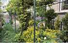 Apartament 2 camere in vila cu curte Parcul Circului - 1