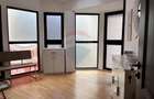 Vila de închiriat 6 camere Piata Victoriei - 4