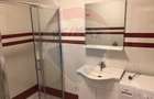Apartament cu 3 camere de închiriat în zona Nufărul - 8