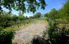 Teren intravilan 4,516mp Doina - 26