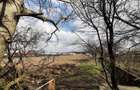 De vanzare, teren intravilan 11200 mp Nazna , Mures - 6