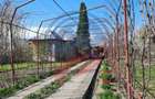 Casa de vanzare/Balcesti/Valcea/Str Pietii - 16